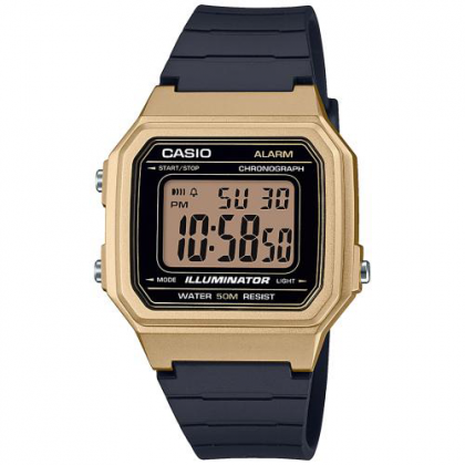 CASIO W-217HM-9AVEF